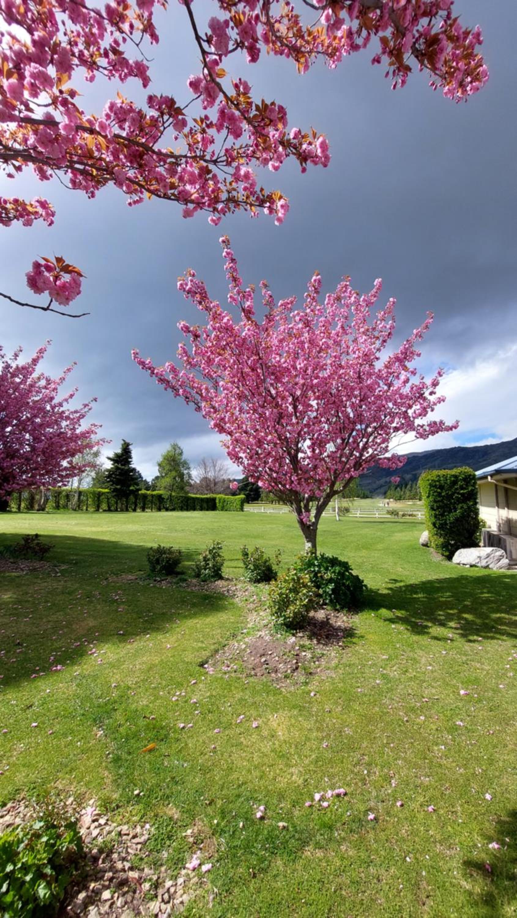 Lake Dunstan Motel