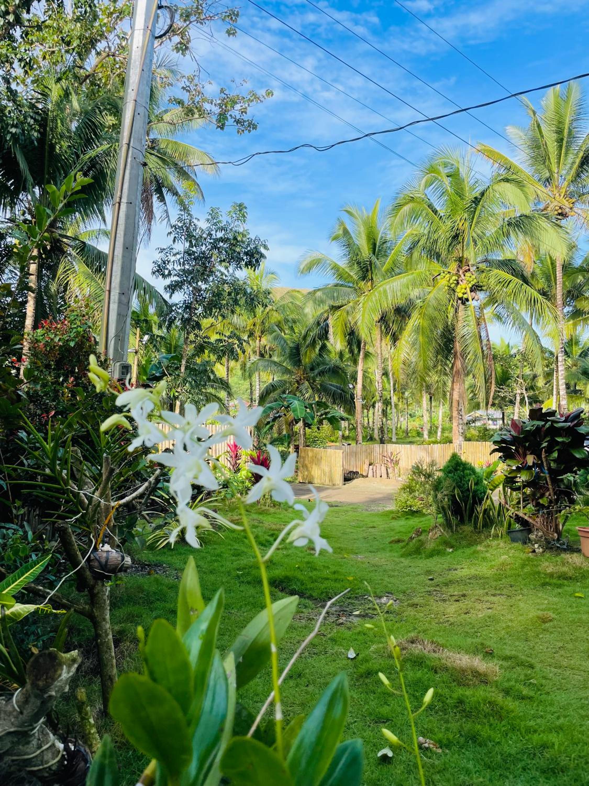 CASA AGUELO Chocolate Hills view 5