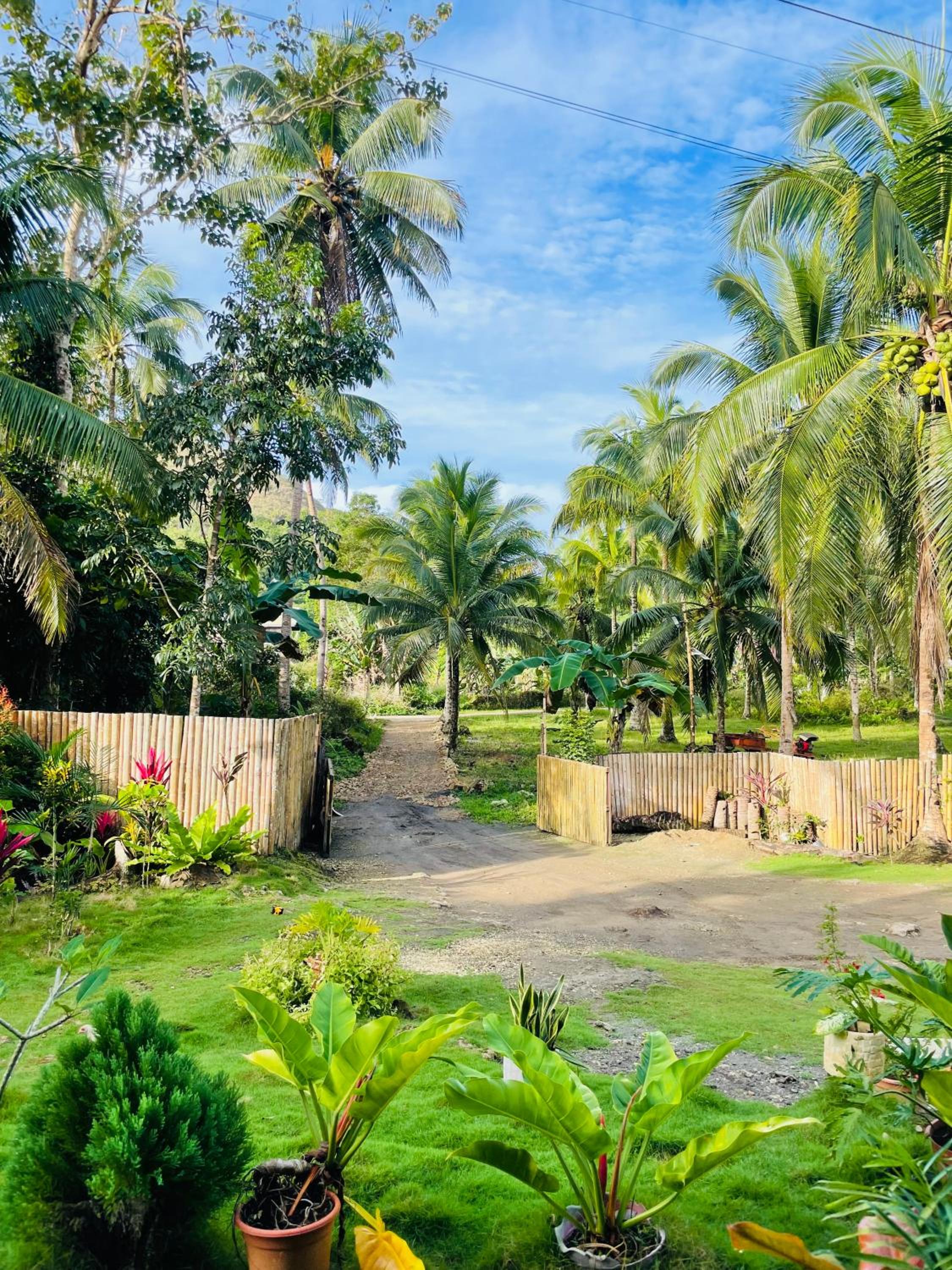 CASA AGUELO Chocolate Hills view 4