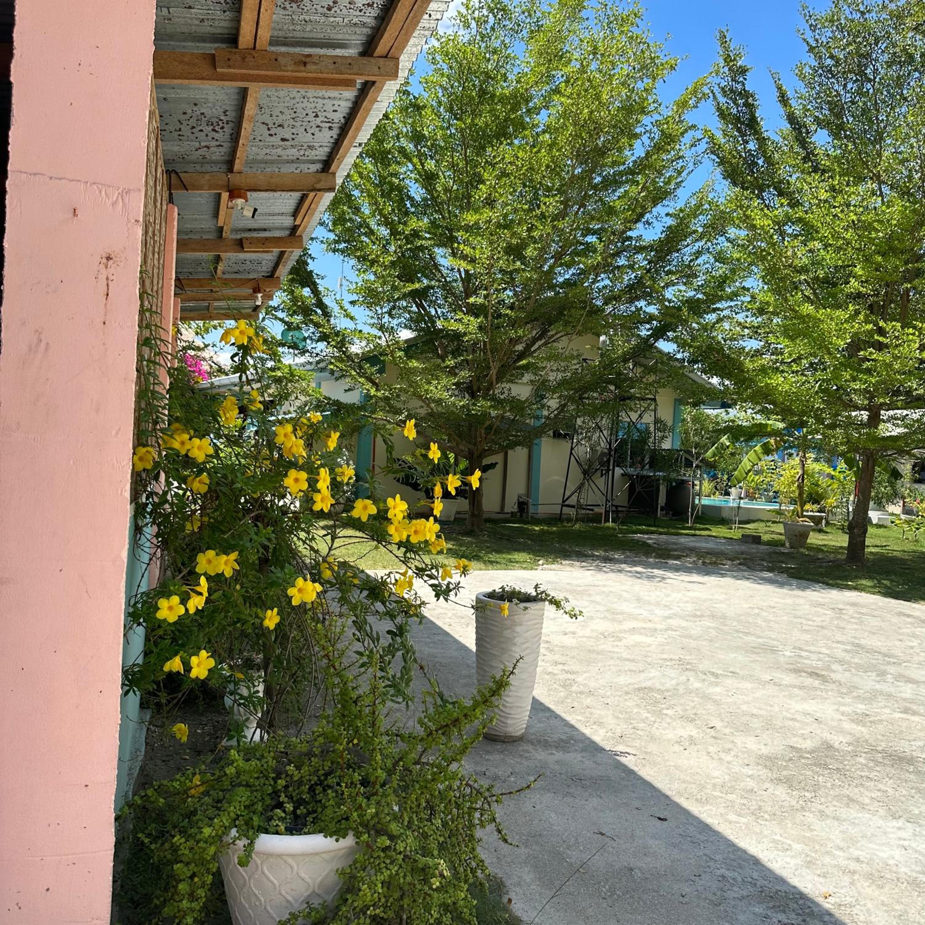 Photo 7