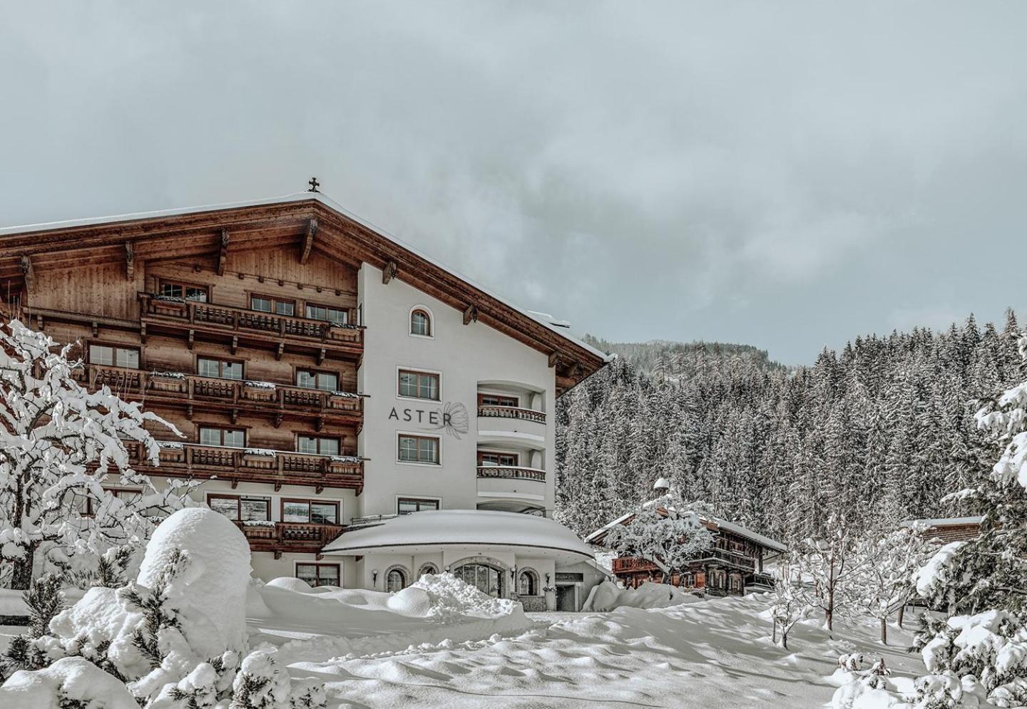 Hotel ASTER Boutique Hotel & Chalets - Image 1