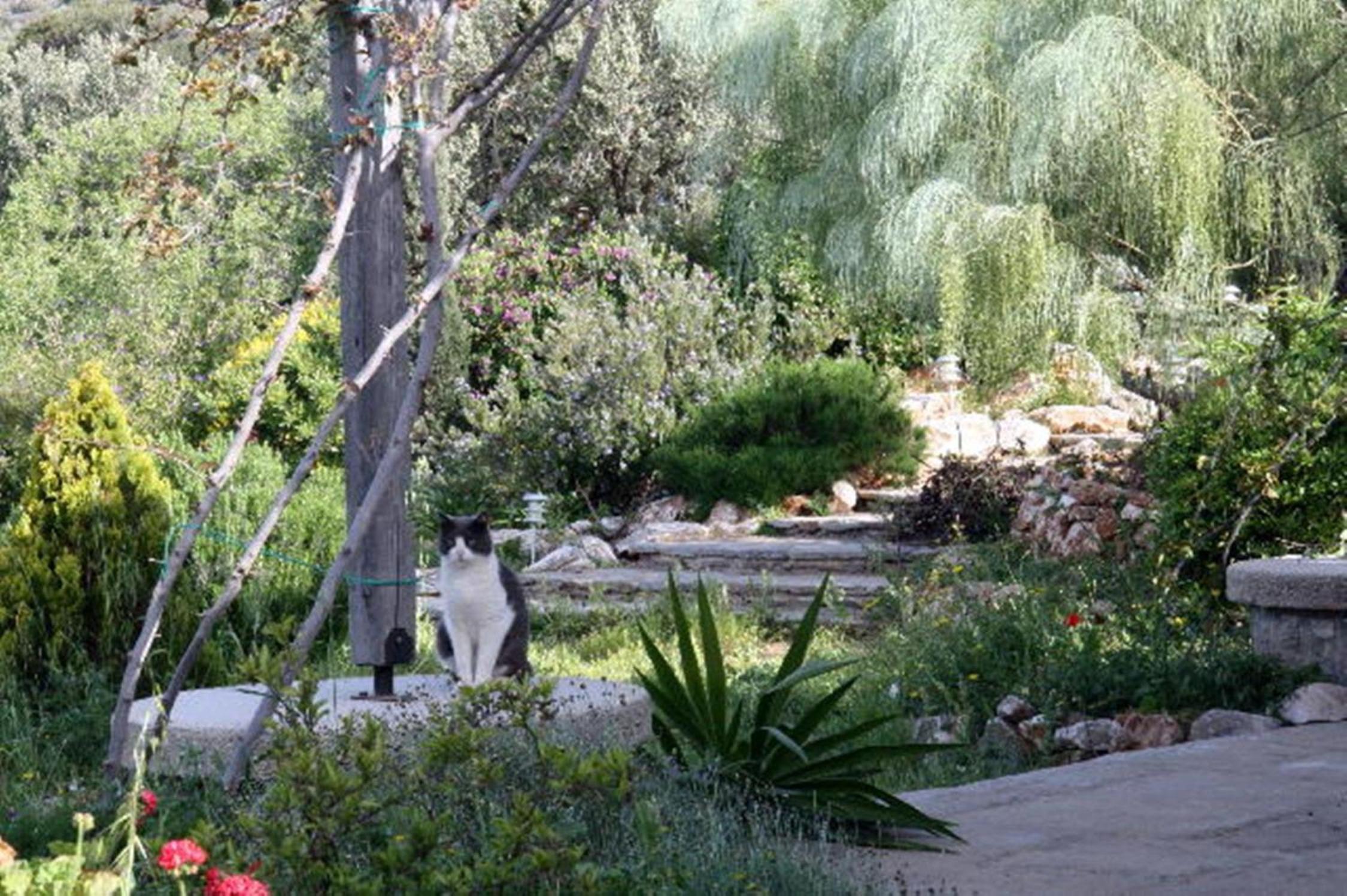 Photo 49