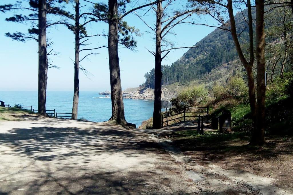 Pequeño apartament rural con un gran jardin. WIFI photo 5