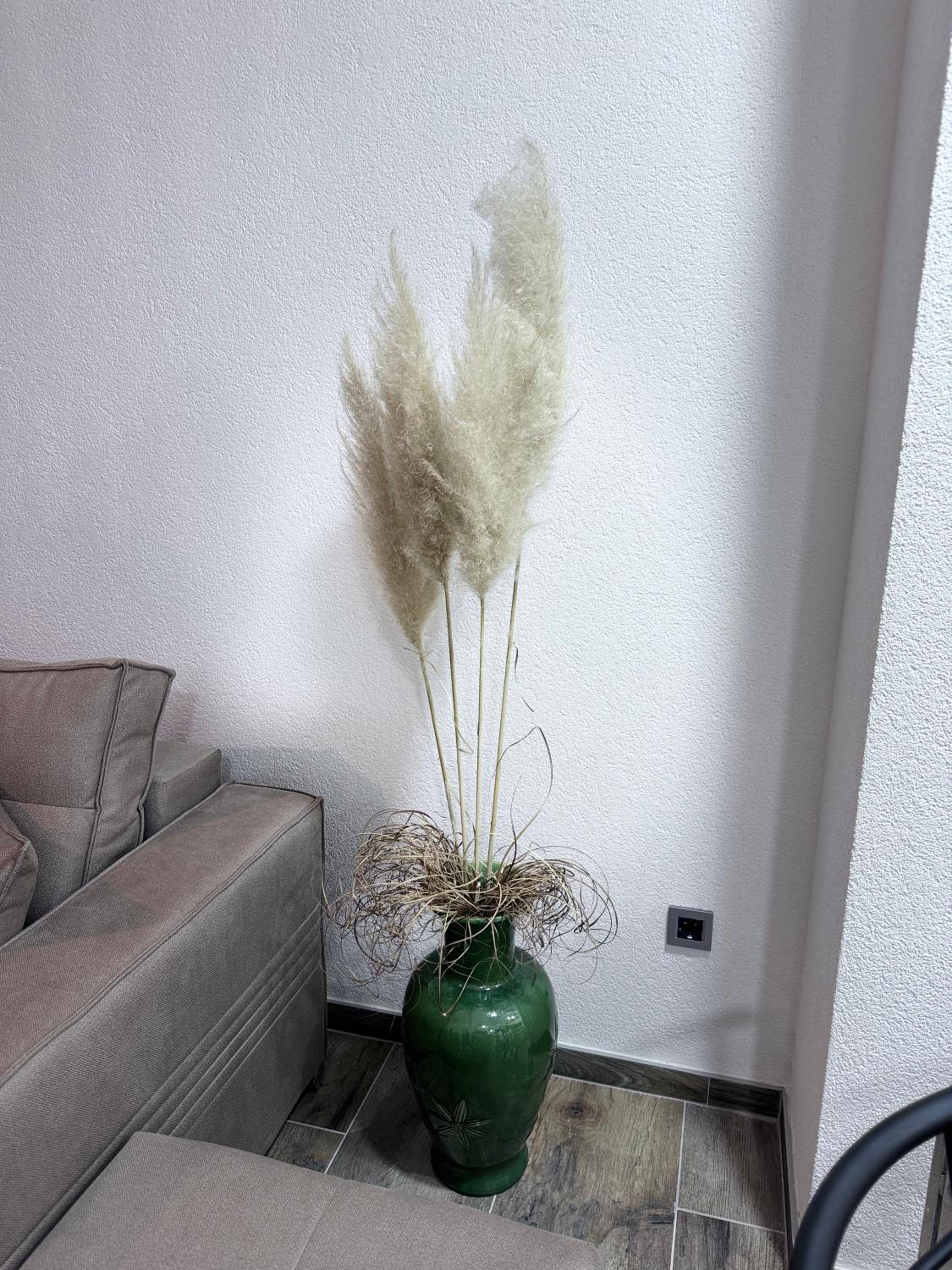 Pannonica Apartman B