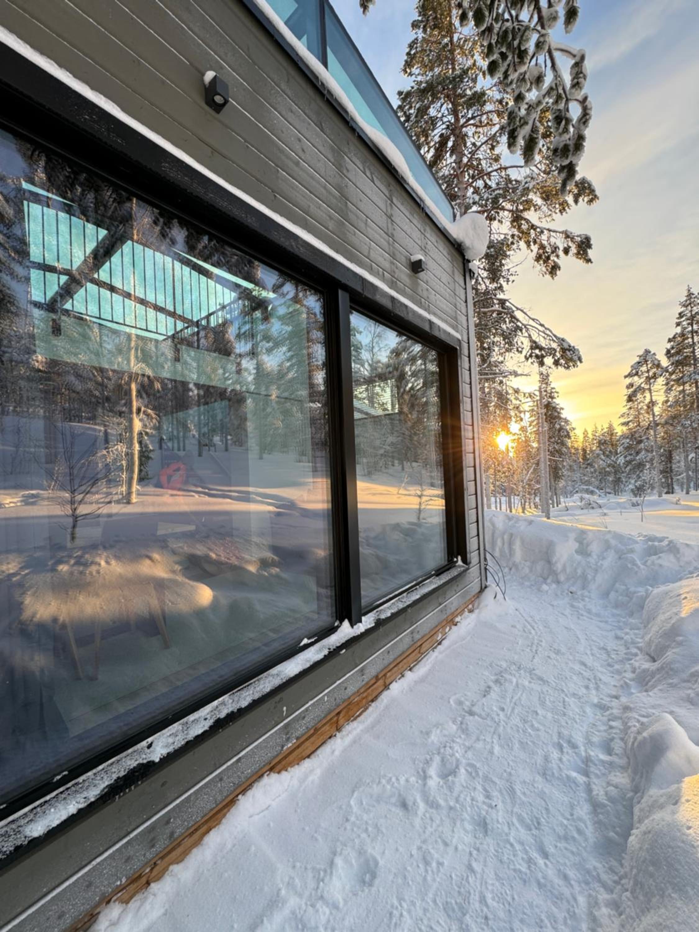 Levi Aurora Igloo