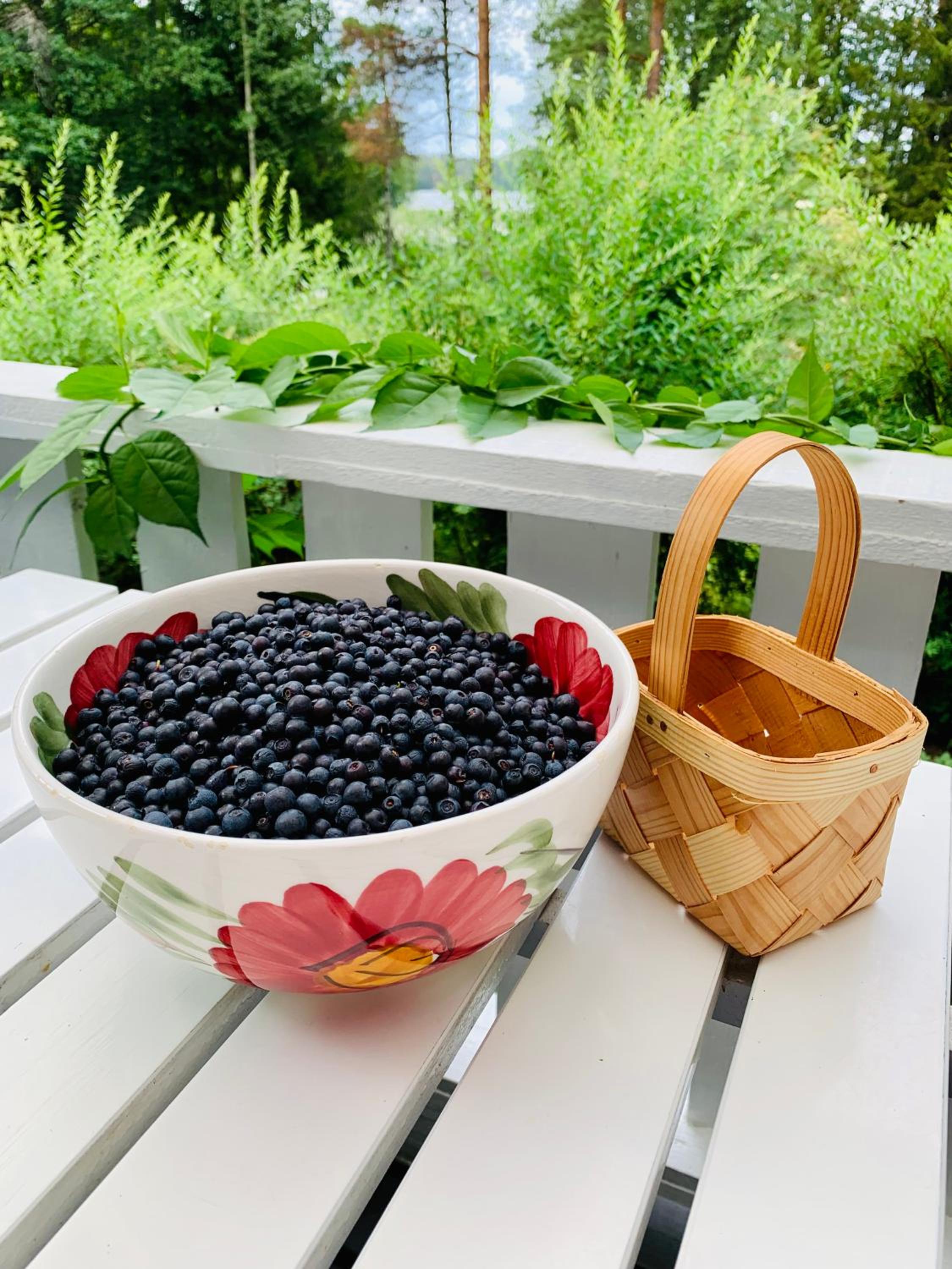 Blueberry Villa at Saimaa Lakeside