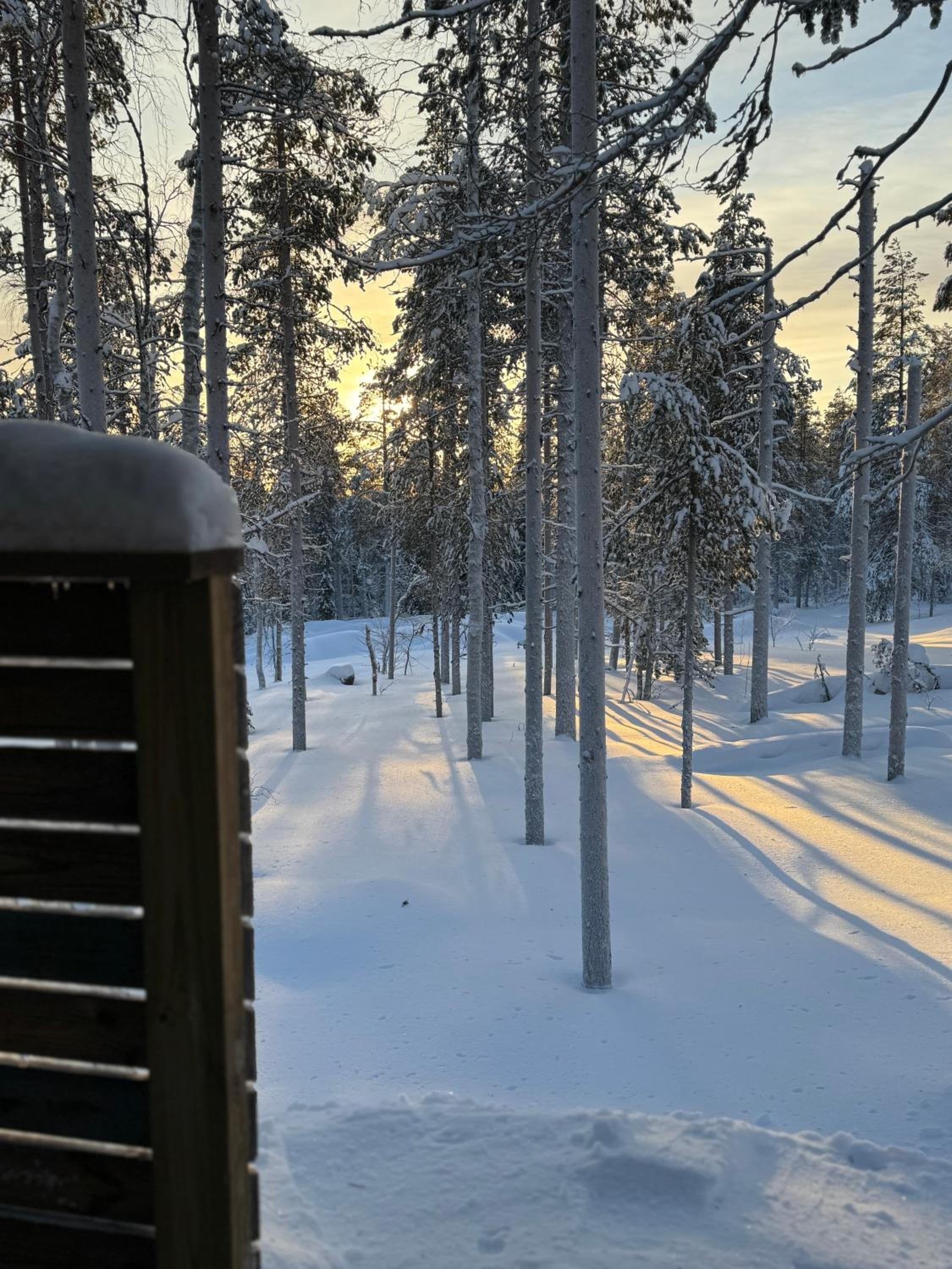 Levi Aurora Igloo