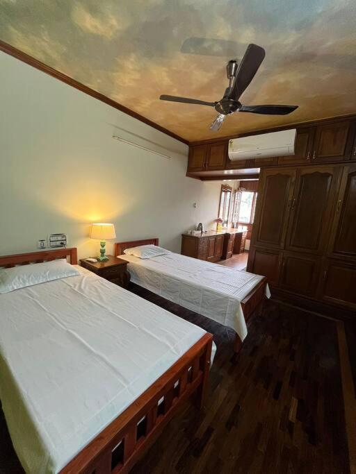 Court View Homestay