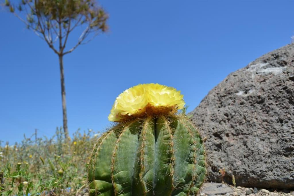 Absolute peace north villa by the volcanic slopes photo 4