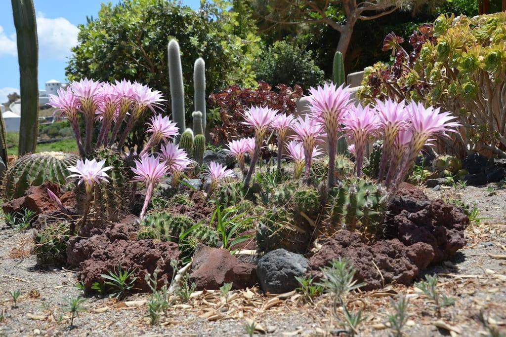 Absolute peace north villa by the volcanic slopes photo 5