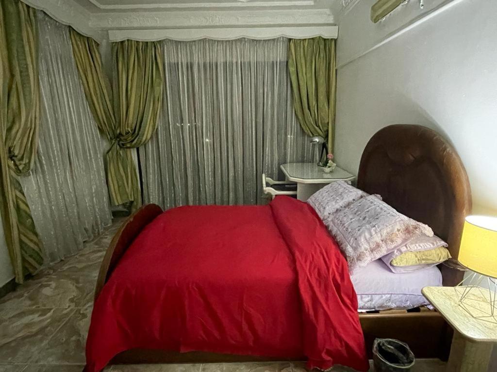 amazing Nile view fully furnished apartment