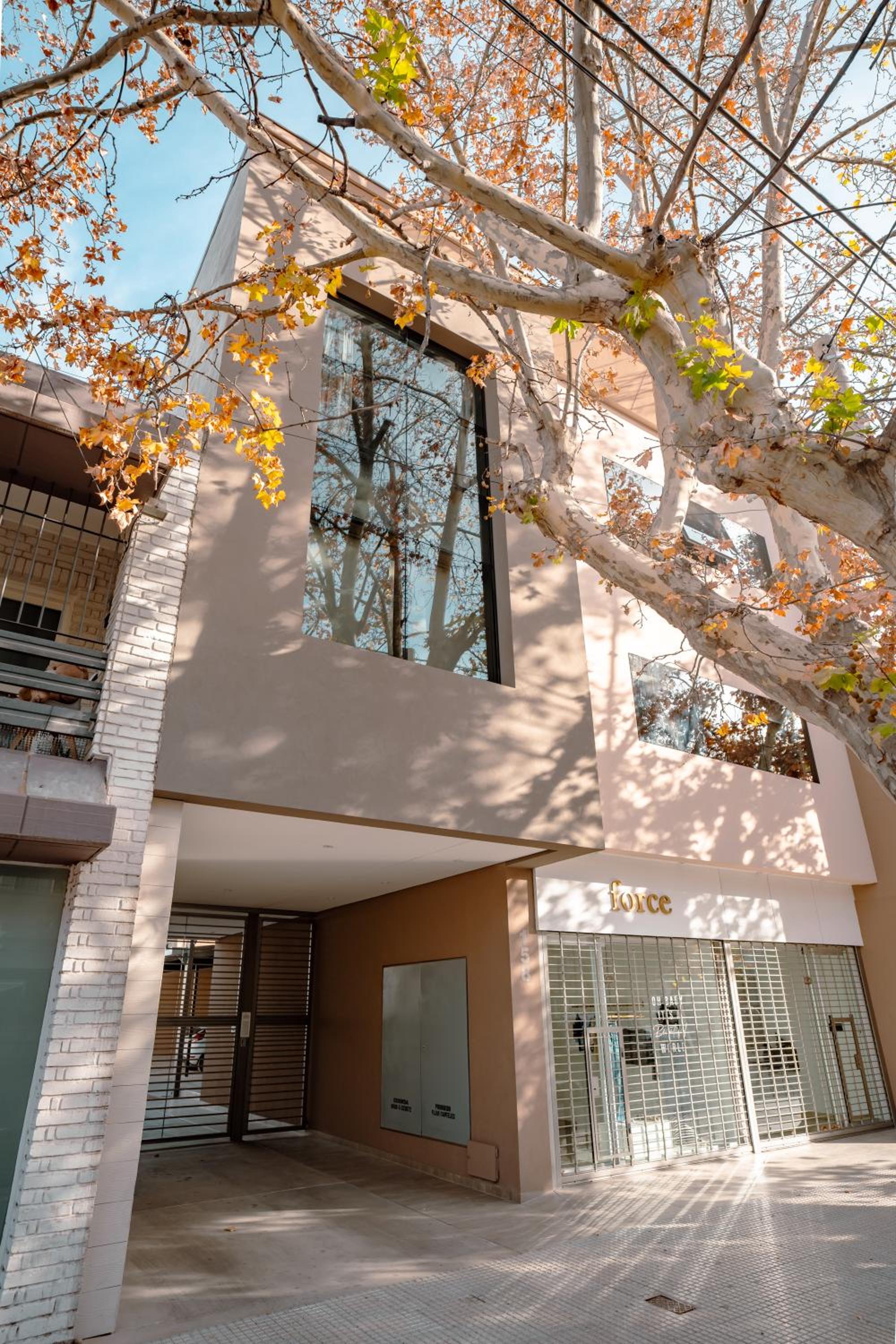 Edificio Olascoaga Centro 2