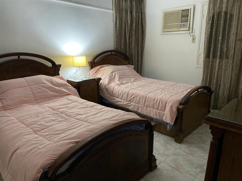 amazing Nile view fully furnished apartment