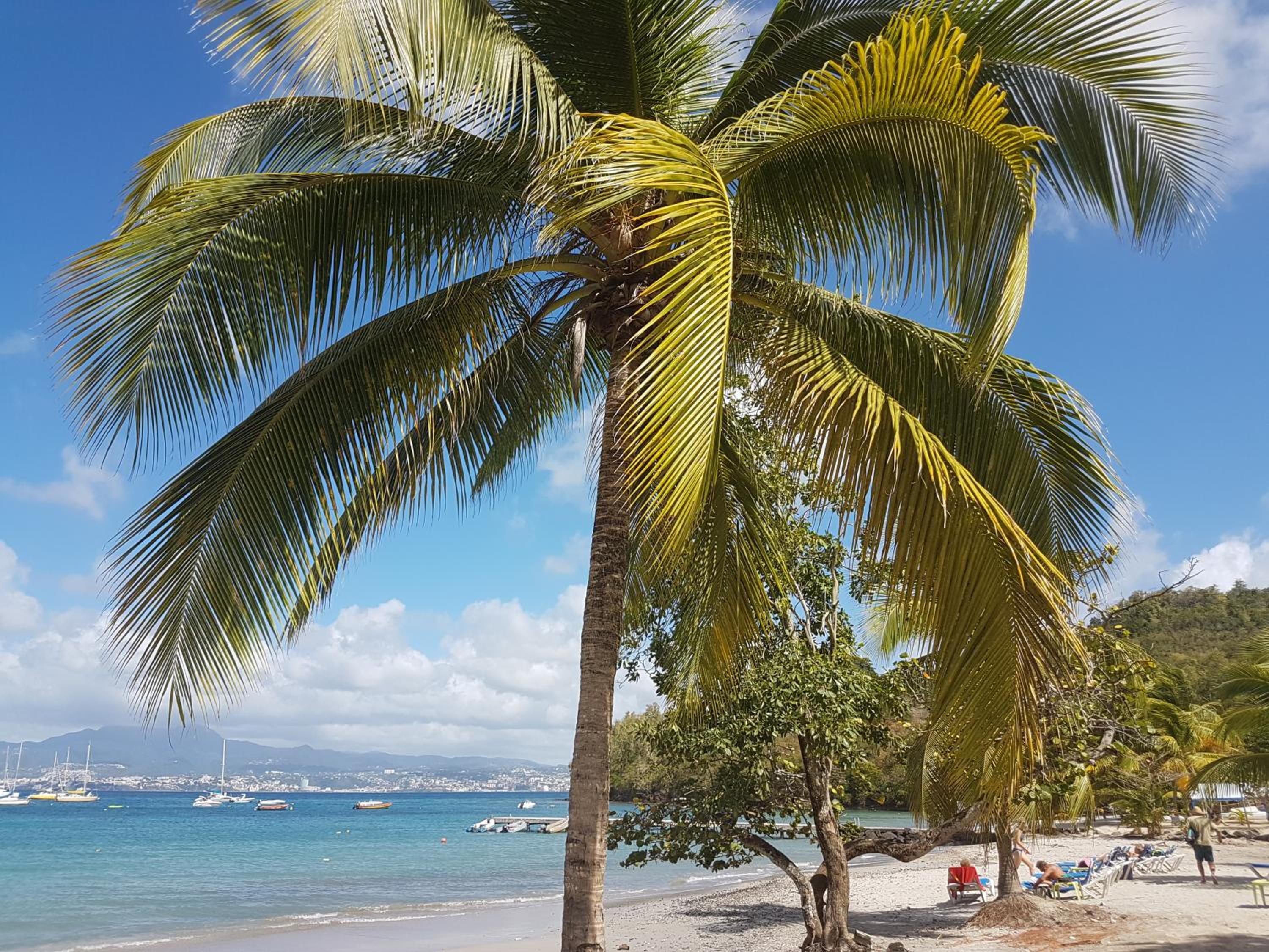 Joli studio Coeur de Canne piscine et plage en Martinique