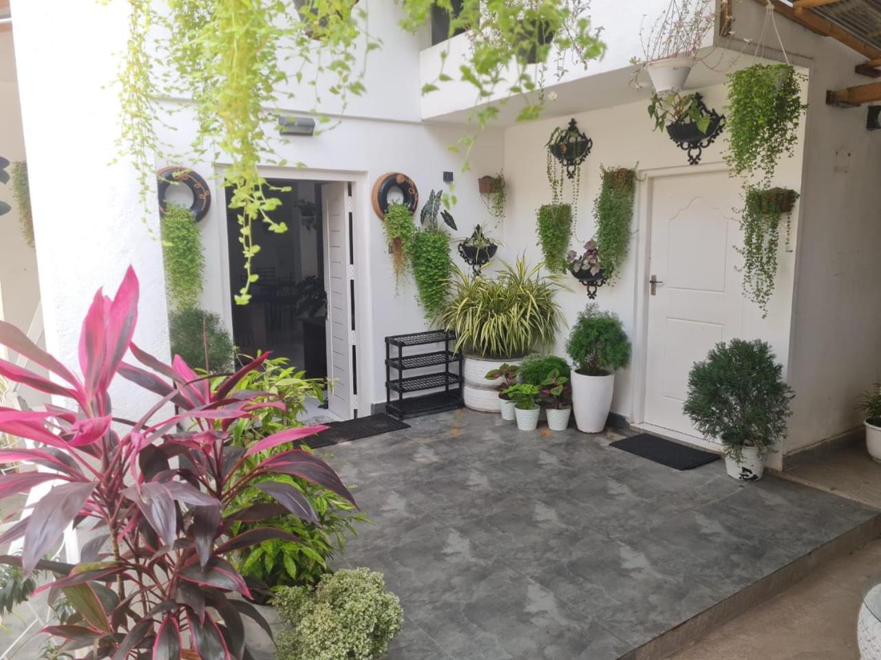 Malika Shelter Villa