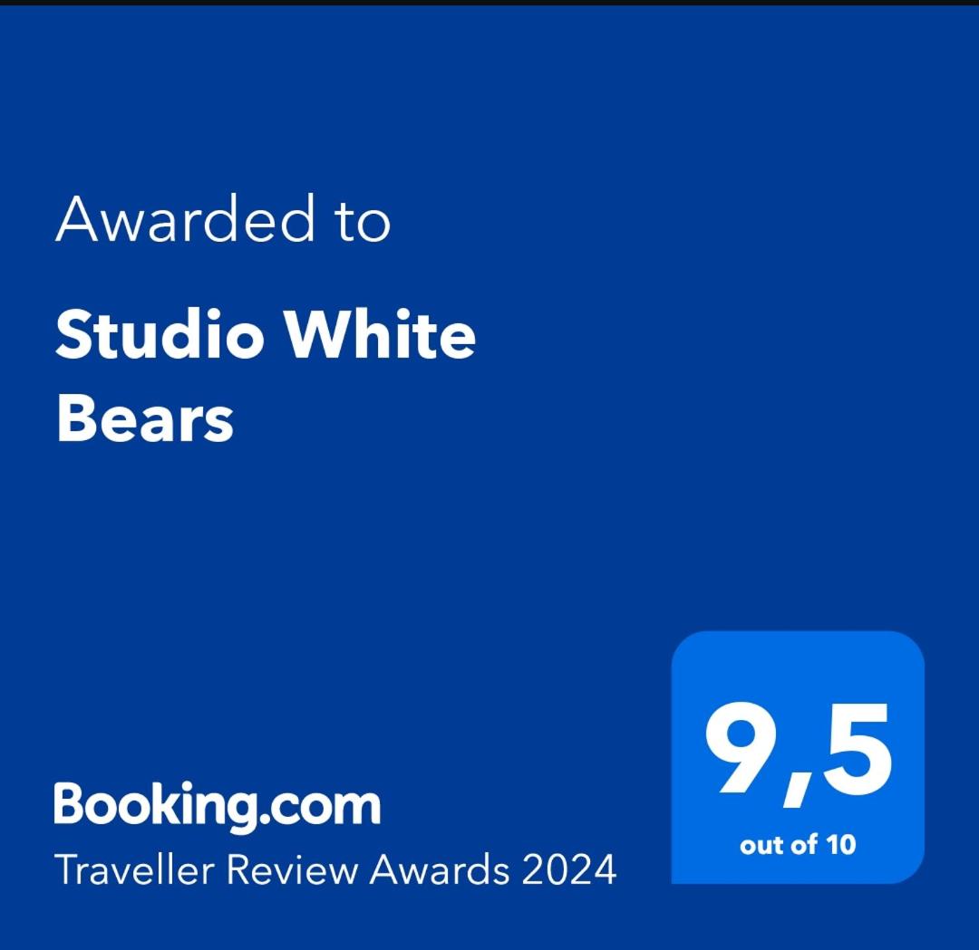 Studio White Bears view 5