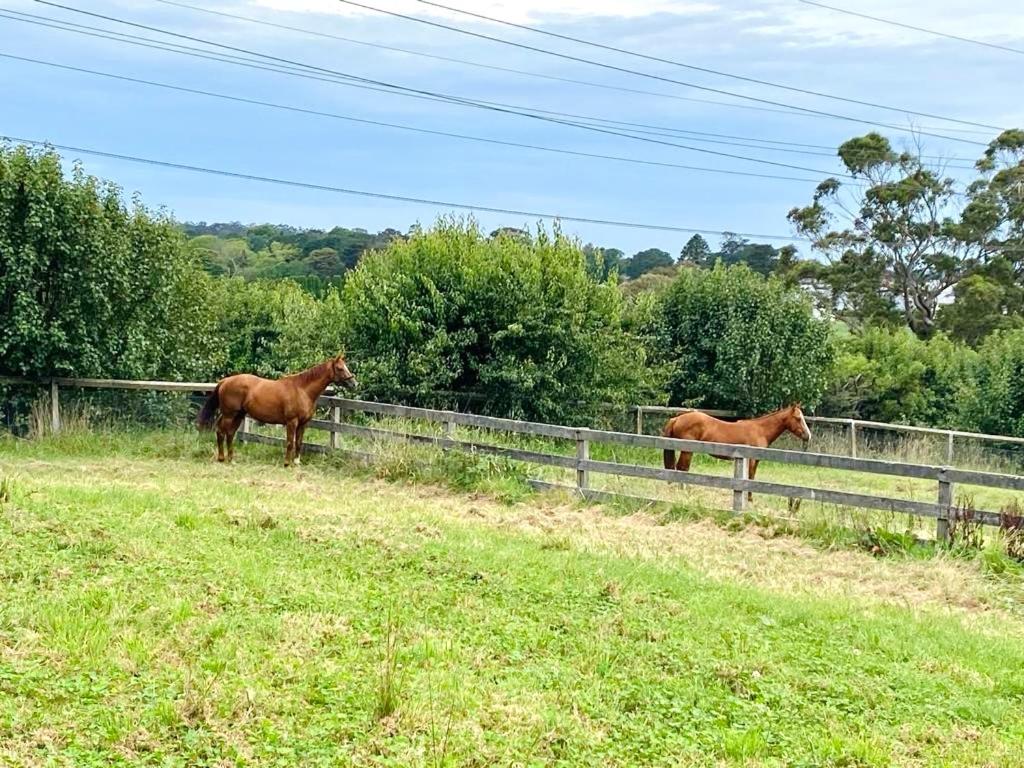 Entire Bowral Acreage