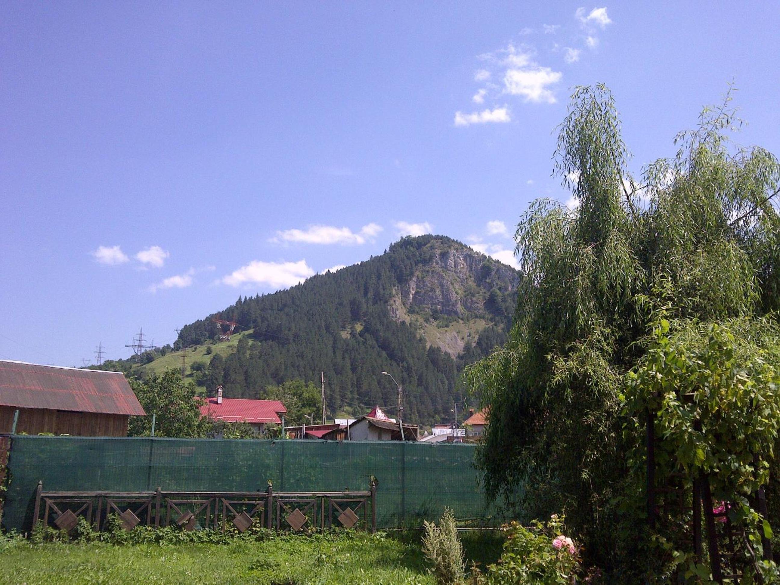 Photo 53