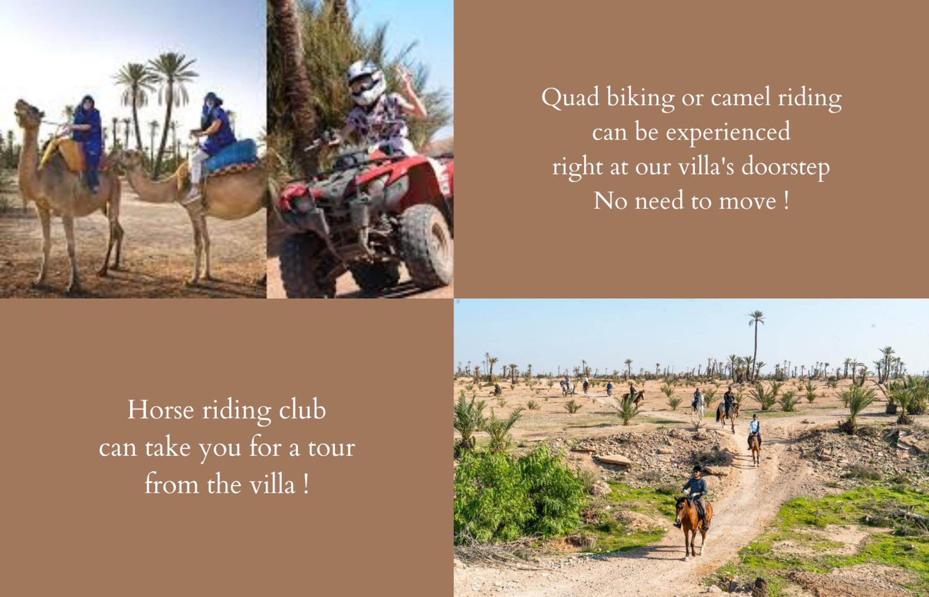 activities & amenities