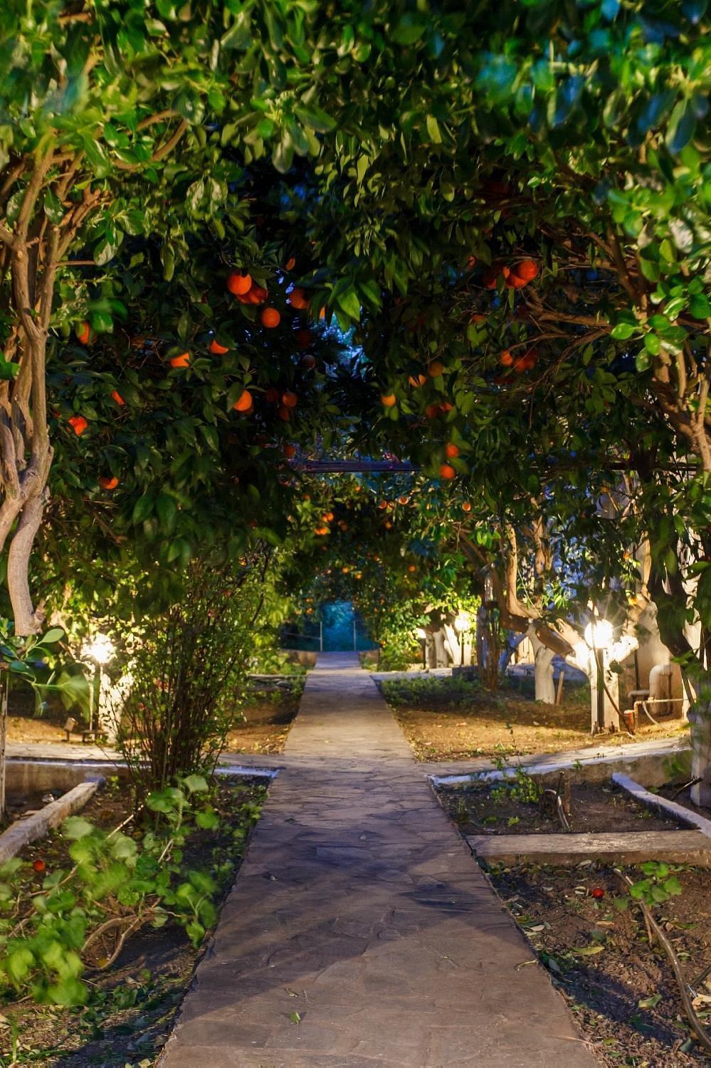 CottonClub Villas