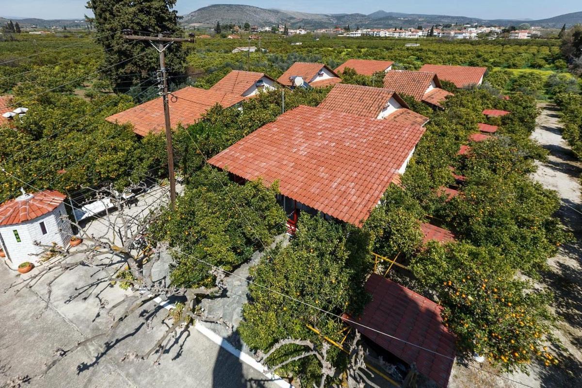 CottonClub Villas