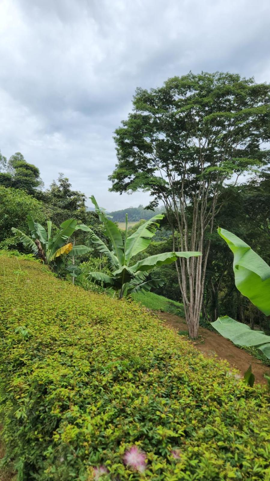 Sitio Santa Clara