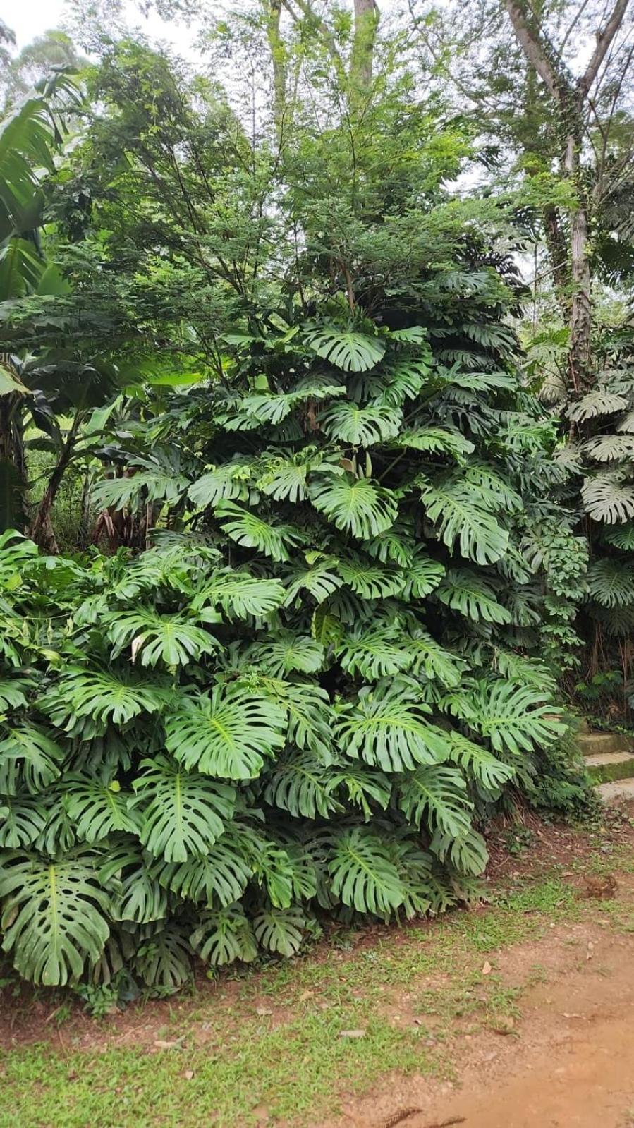 Sitio Santa Clara