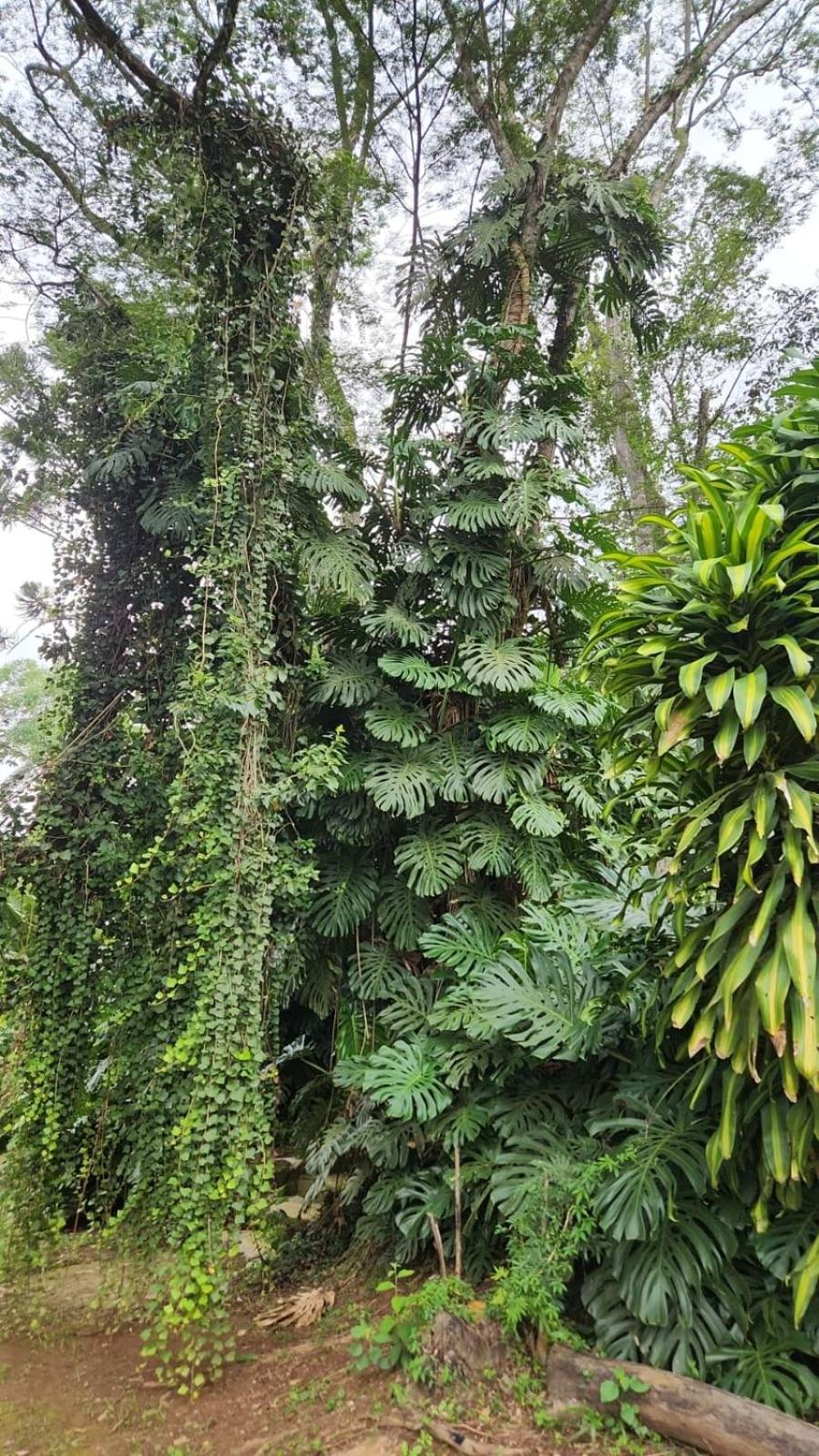Sitio Santa Clara