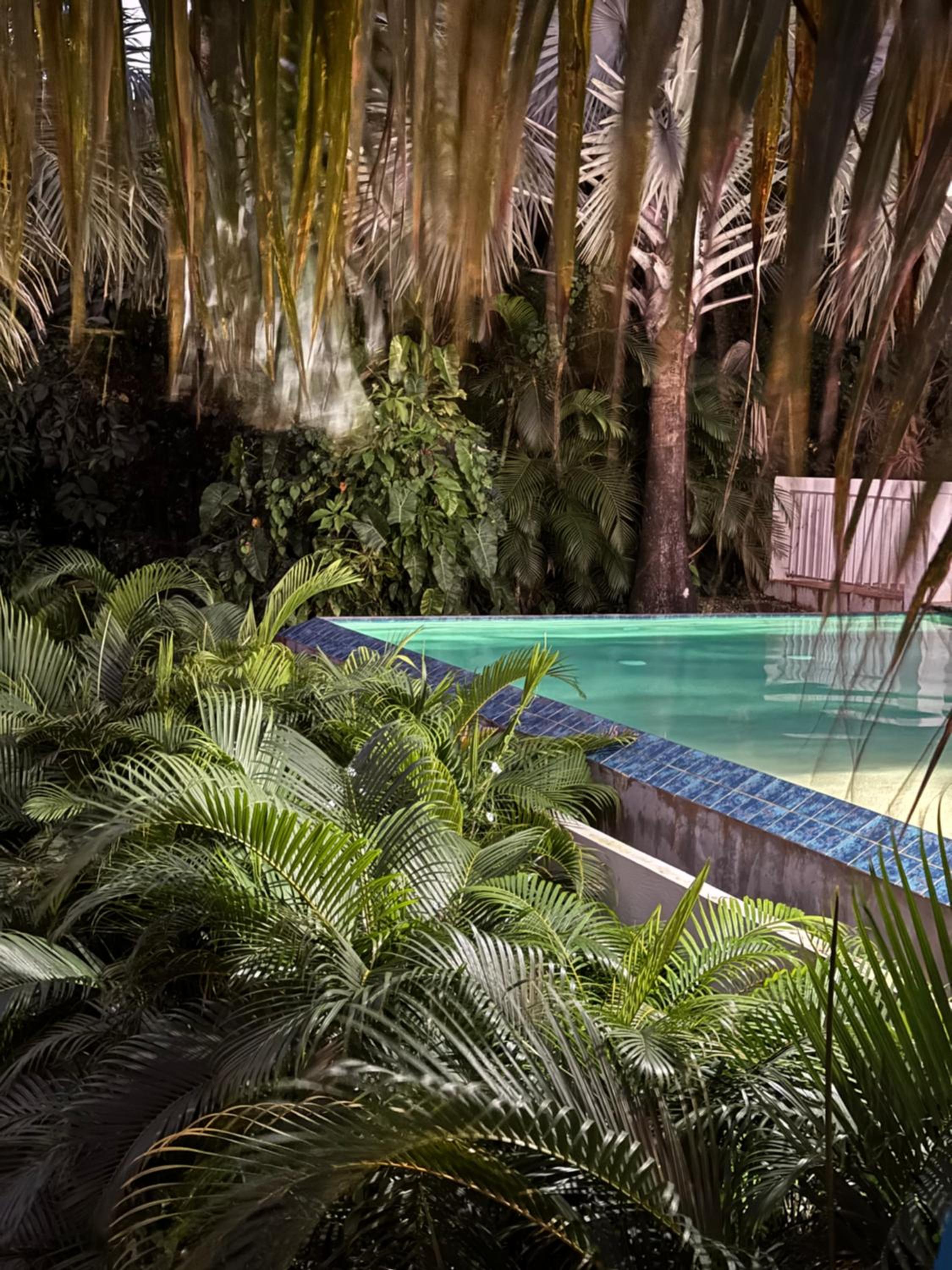 Private Oasis with Incredible Views view 4