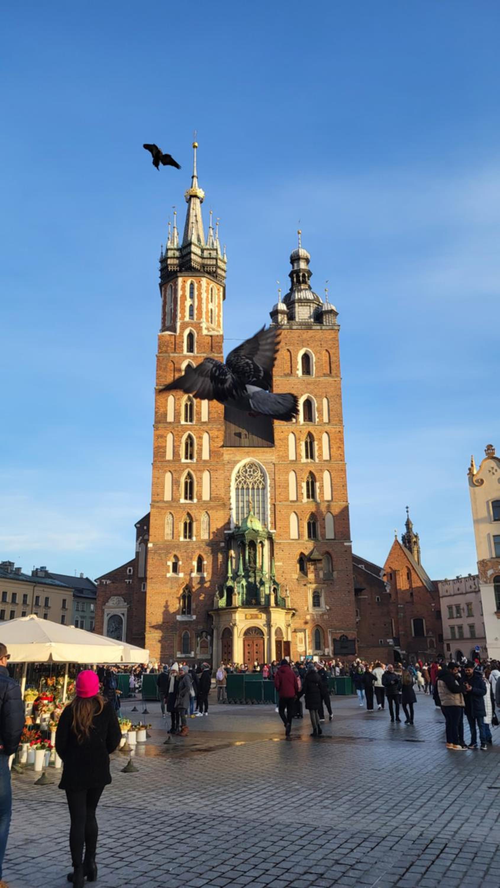 ap4you Tauron Cracow
