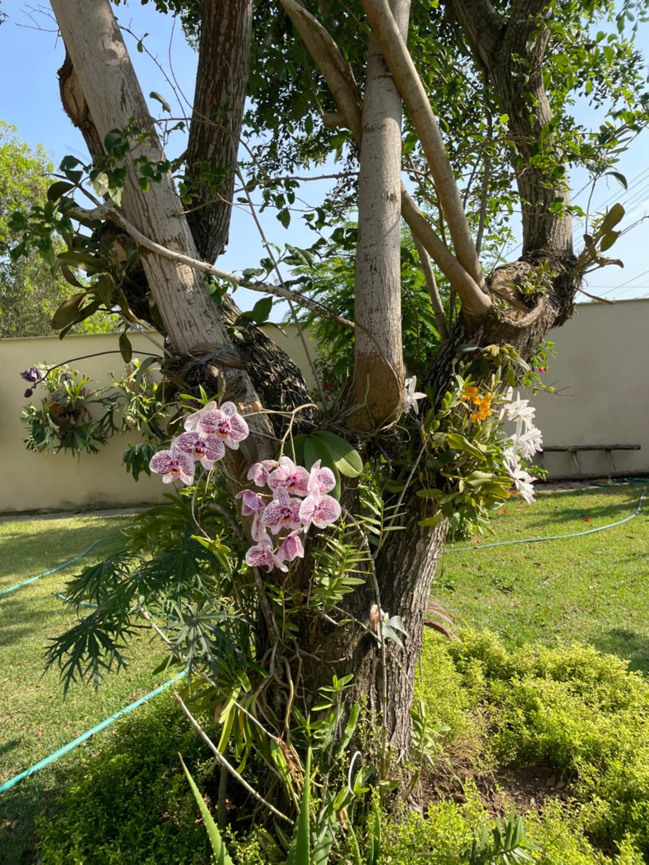 Espaço Verde