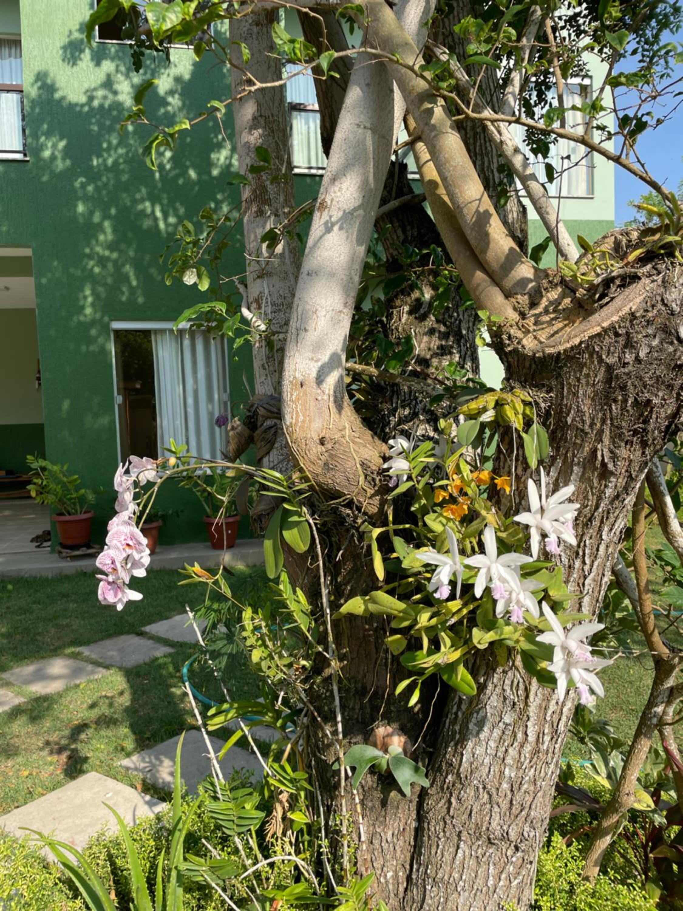 Espaço Verde