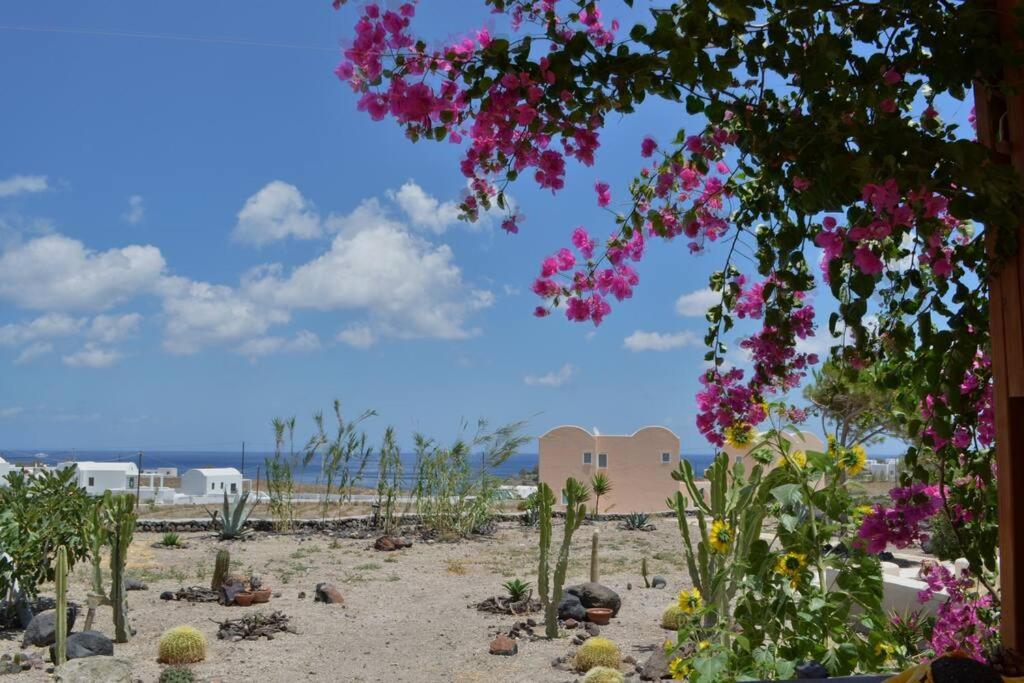 Cactus hideaway with sea views view 5