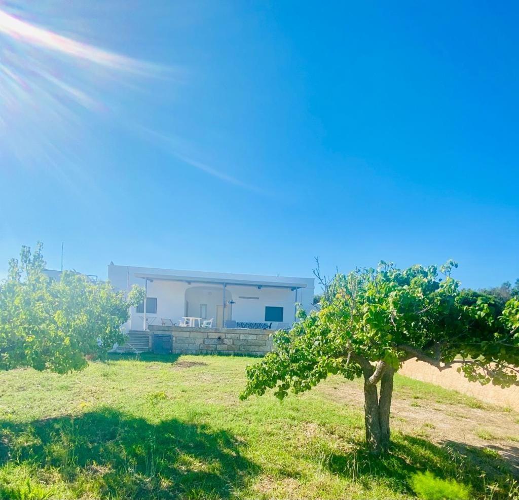 Casa Vacanze Sofimar con Trullo view 2