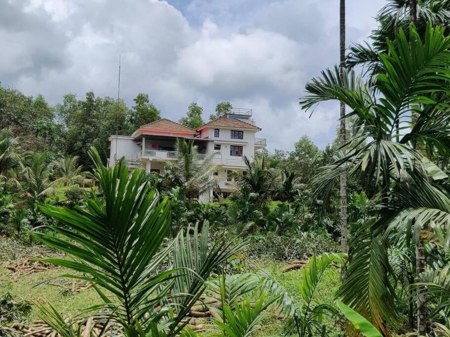 Areca Farm, Nature Stay view 5