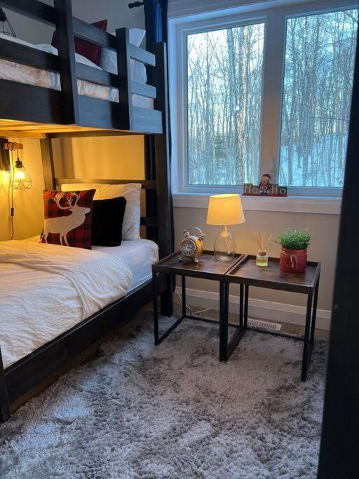 Lux Winter Getaway with Hot Tub, Sauna, EV charger