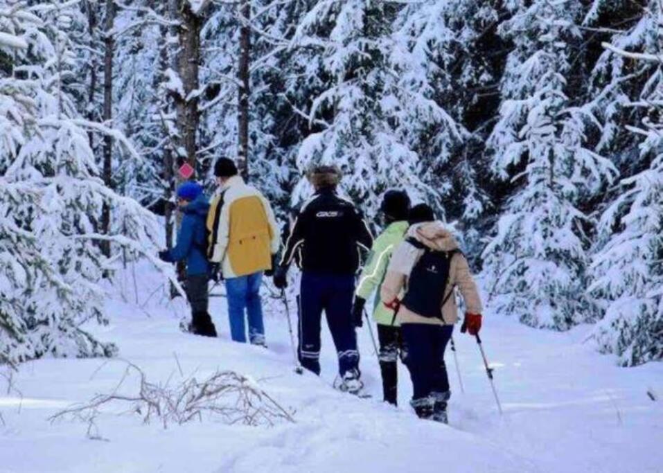 Lux Winter Getaway with Hot Tub, Sauna, EV charger