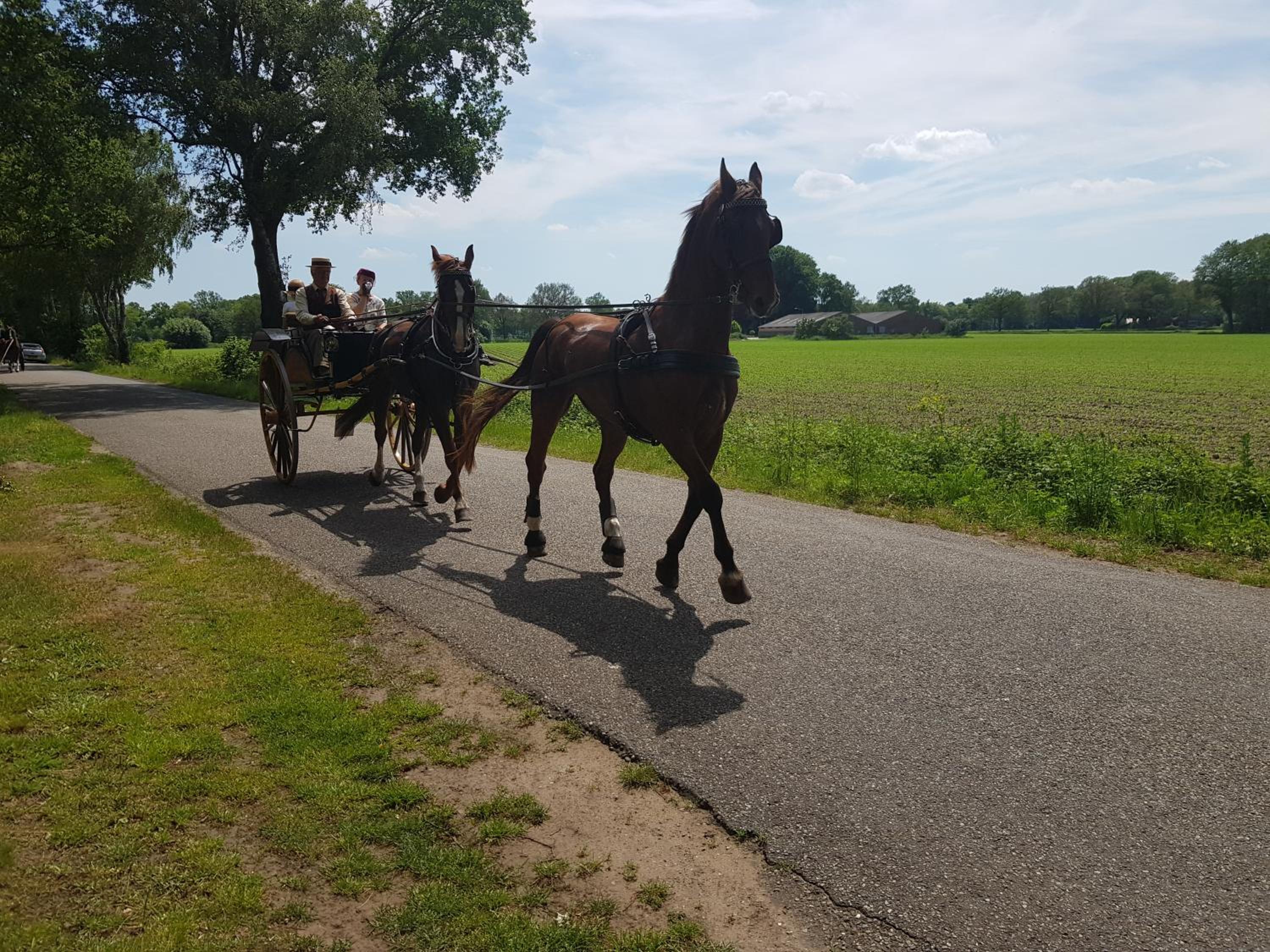 Huisjeaandedinkel