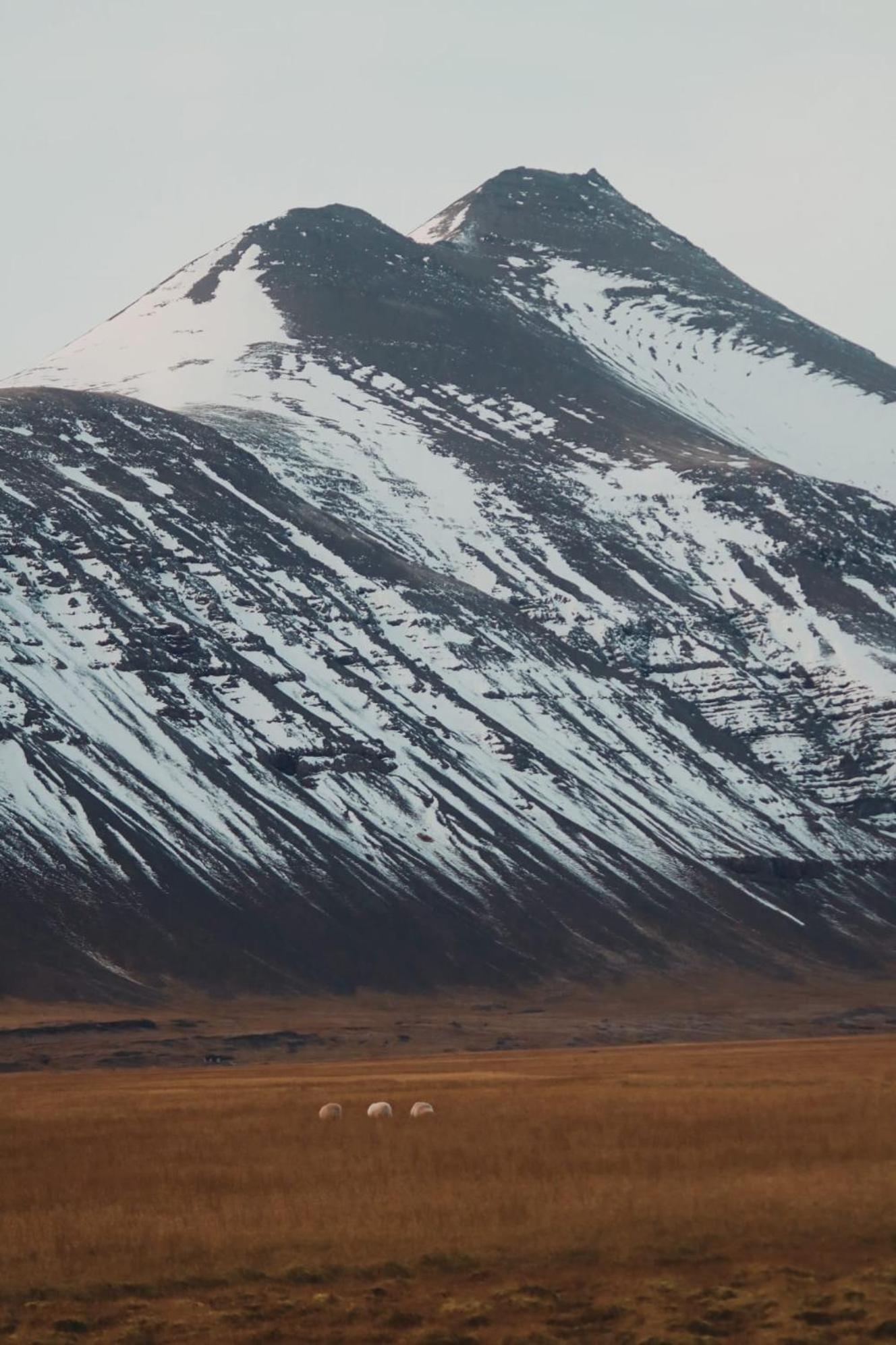 Glacier World - Hoffell Guesthouse