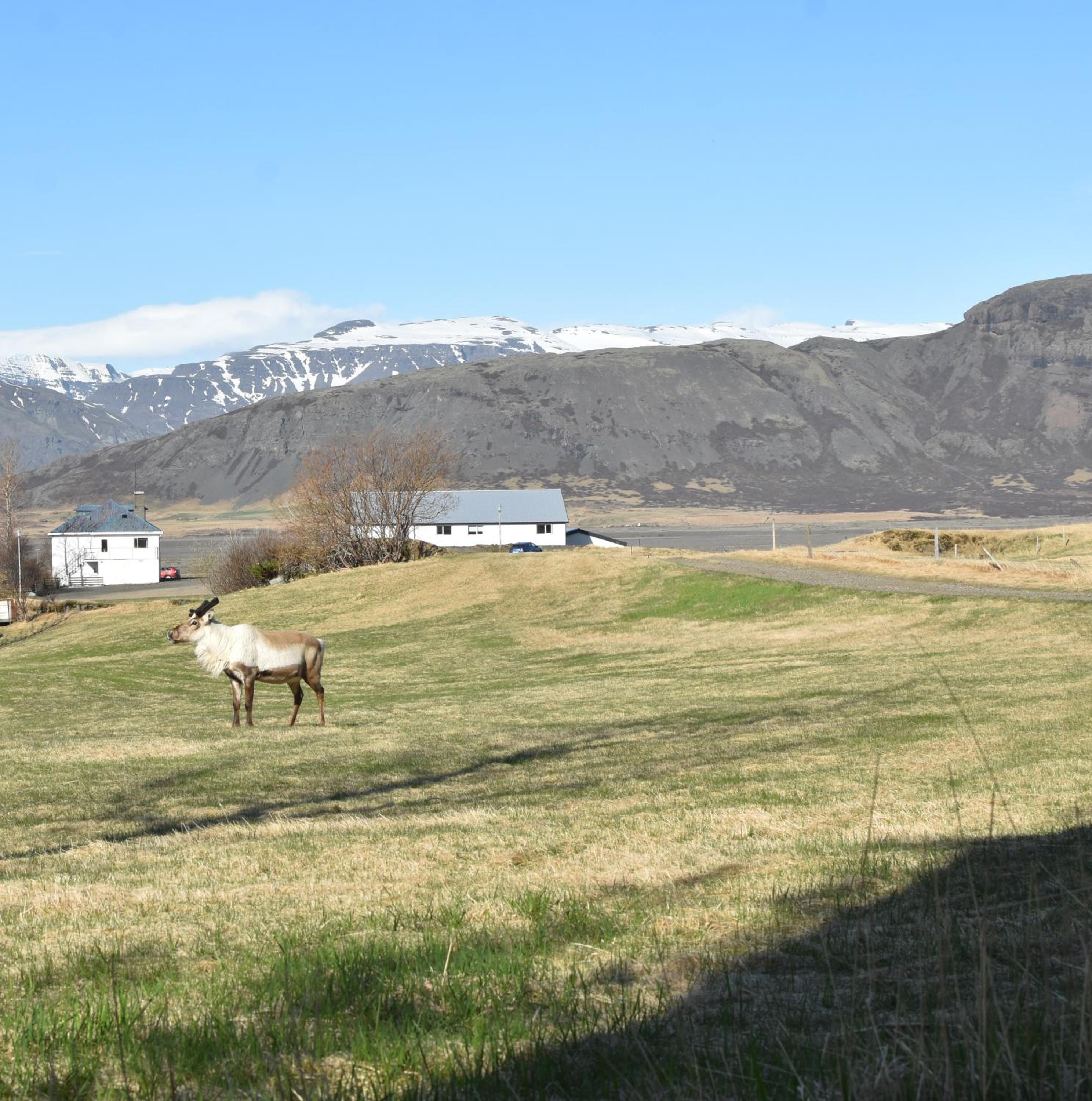 Glacier World - Hoffell Guesthouse