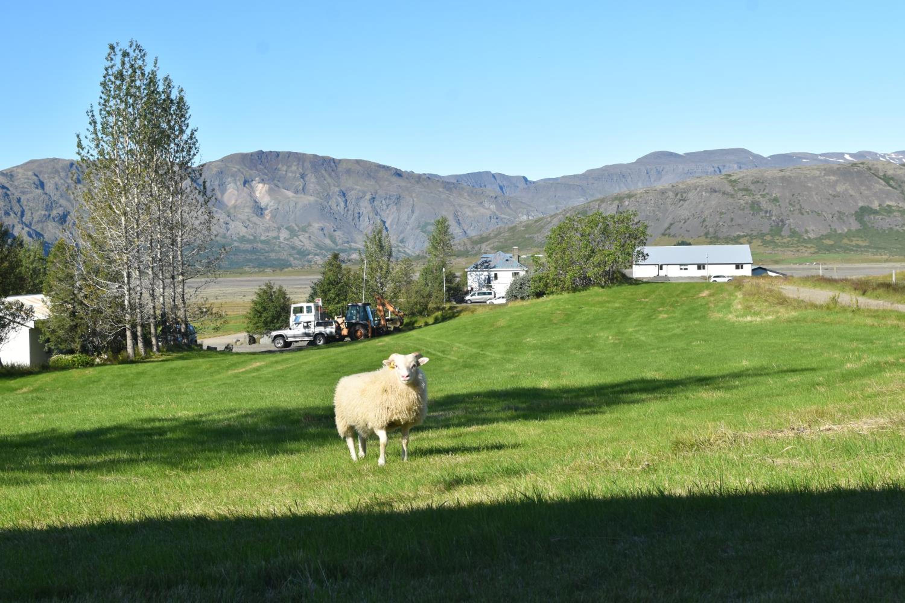 Glacier World - Hoffell Guesthouse