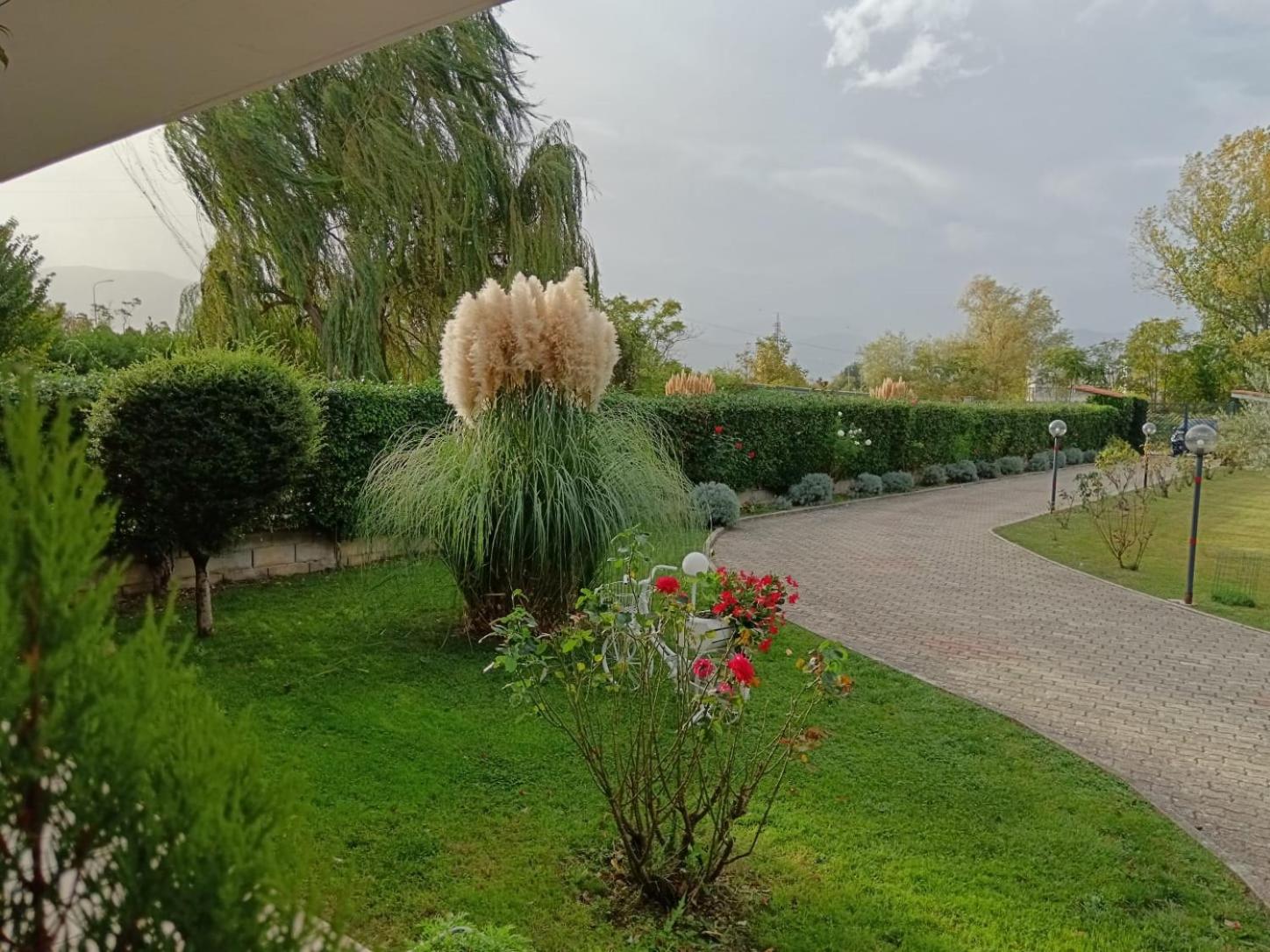 Photo 19