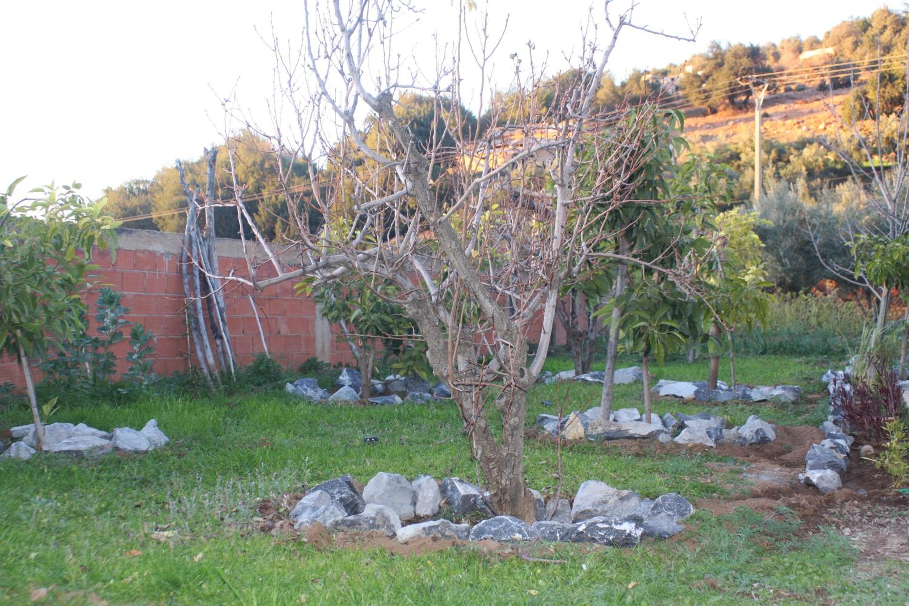 Photo 19