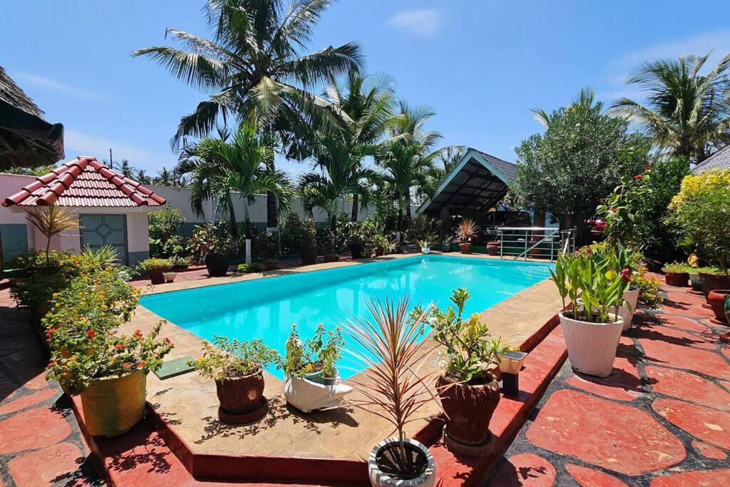 Villa Buerk Serena Suite Bed & Breakfast, Wi-Fi, Pool view 3