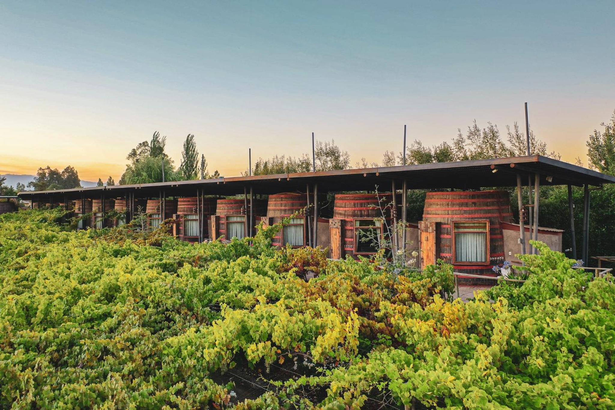 Hotel Cava Colchagua Hotel Boutique - Image 1