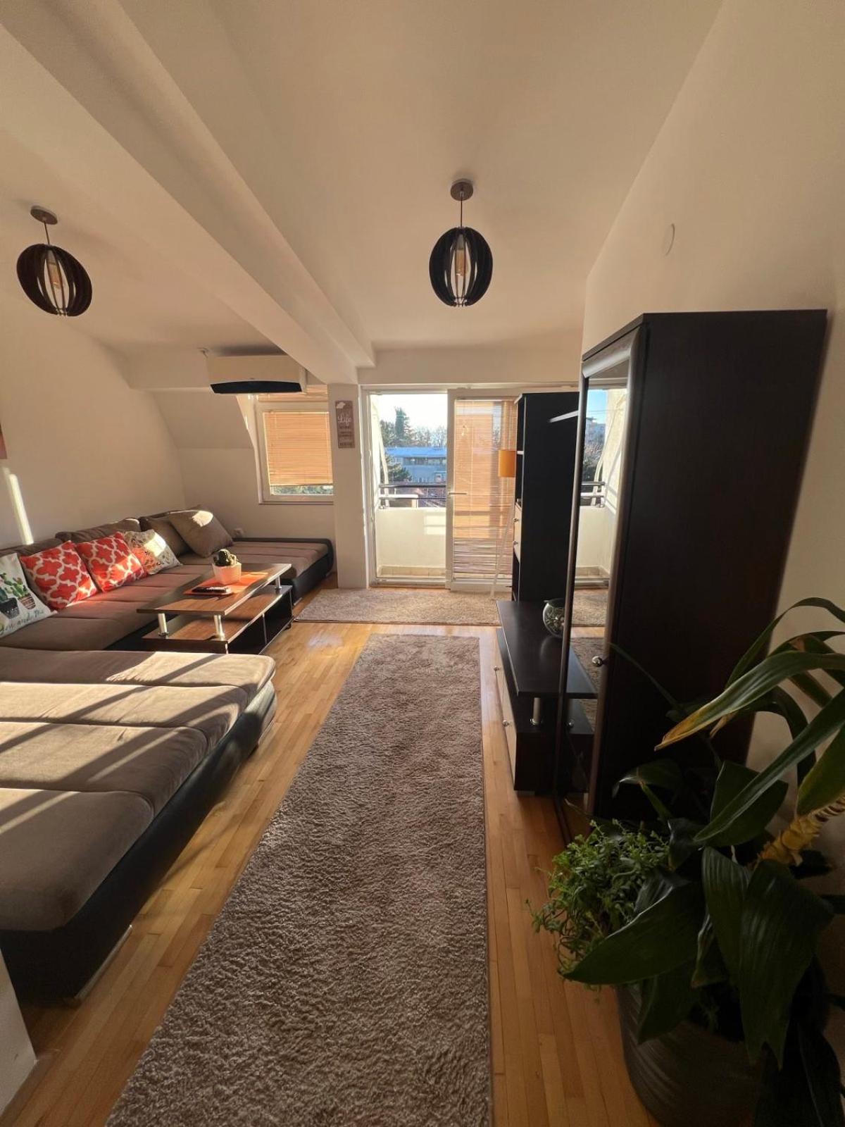 Cozy Oasis