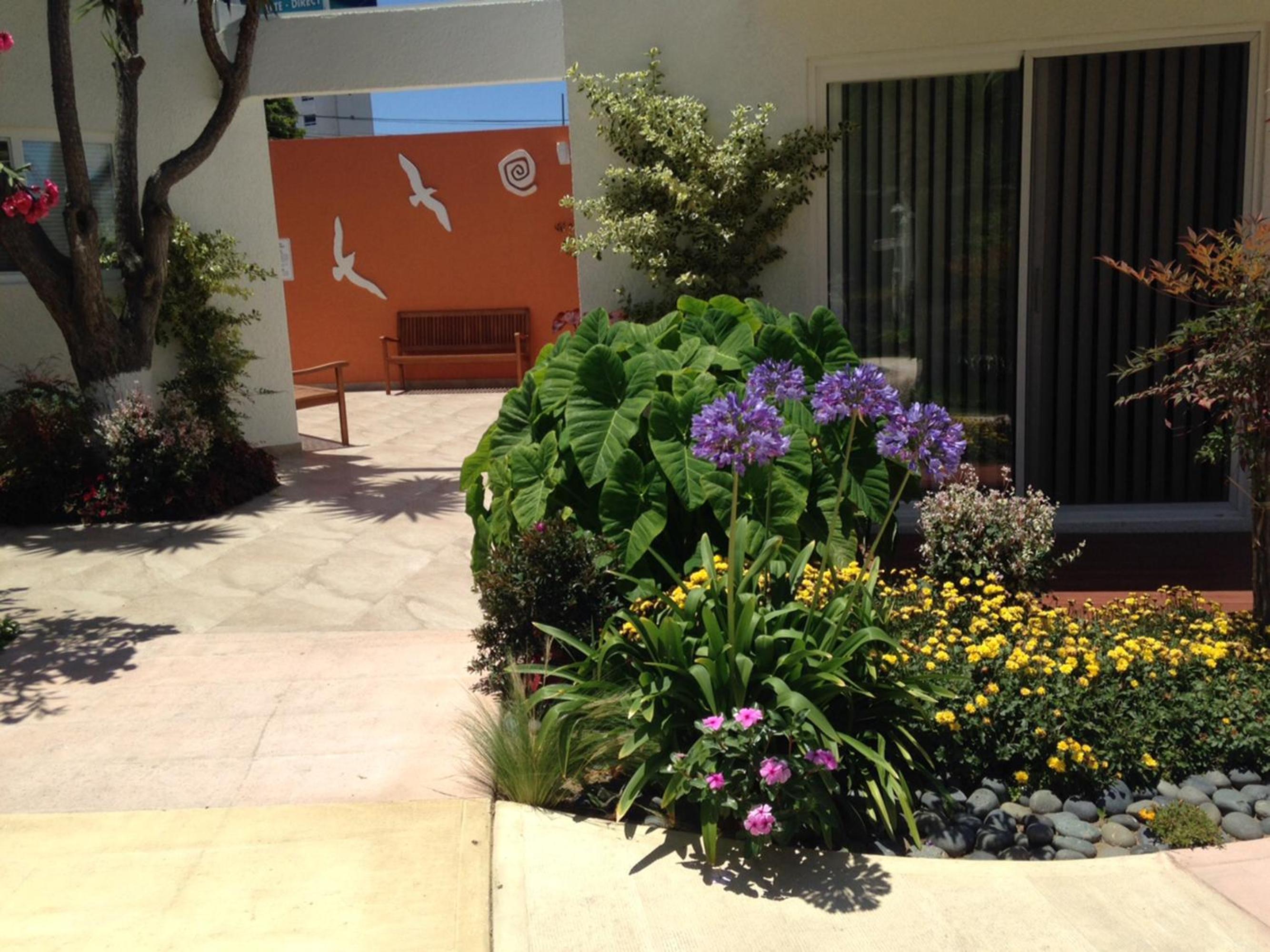 Photo 16