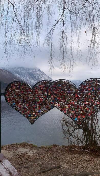 Wohnung See- und Bergnähe