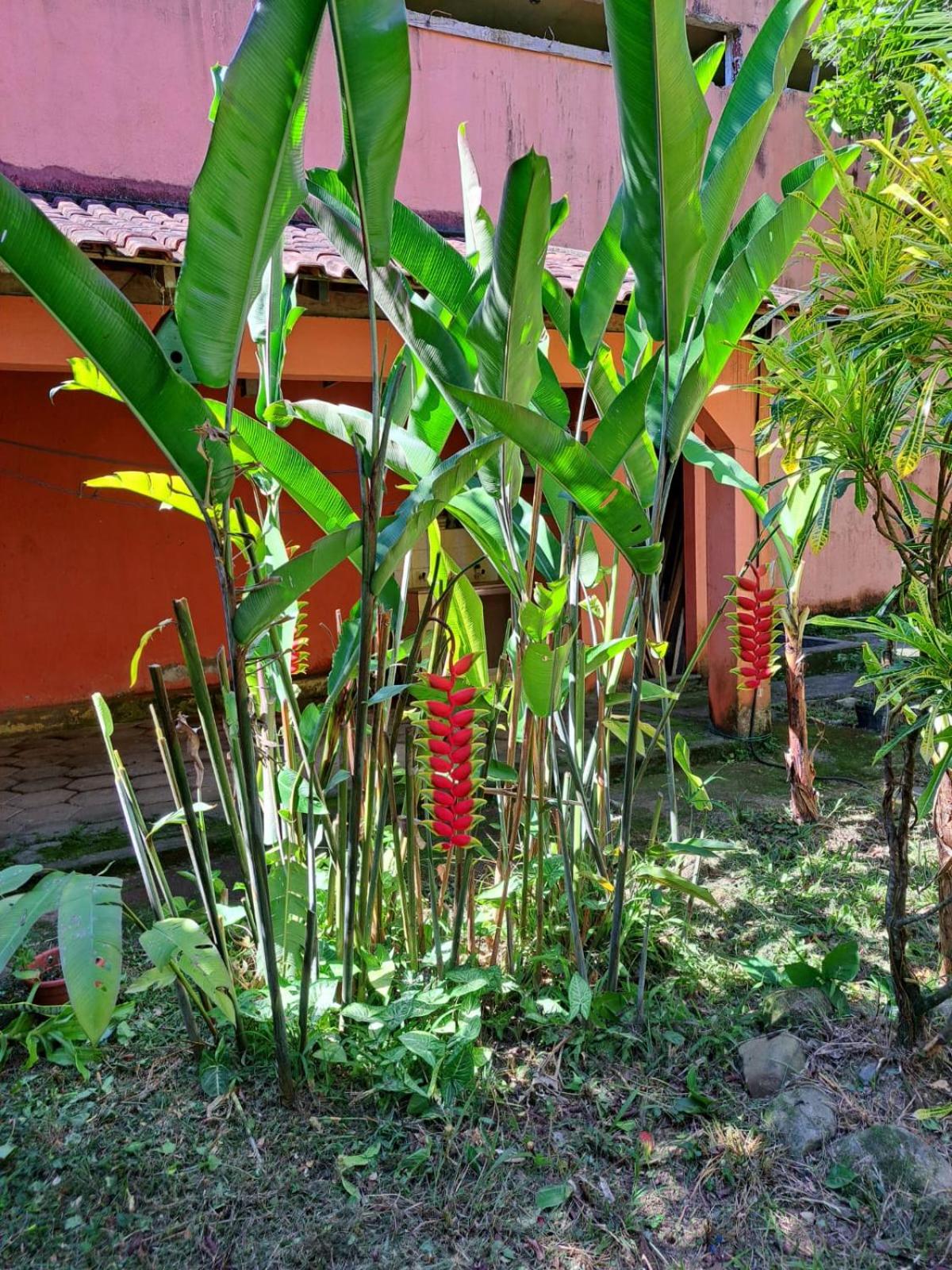 Casa Costa Verde-Muriqui