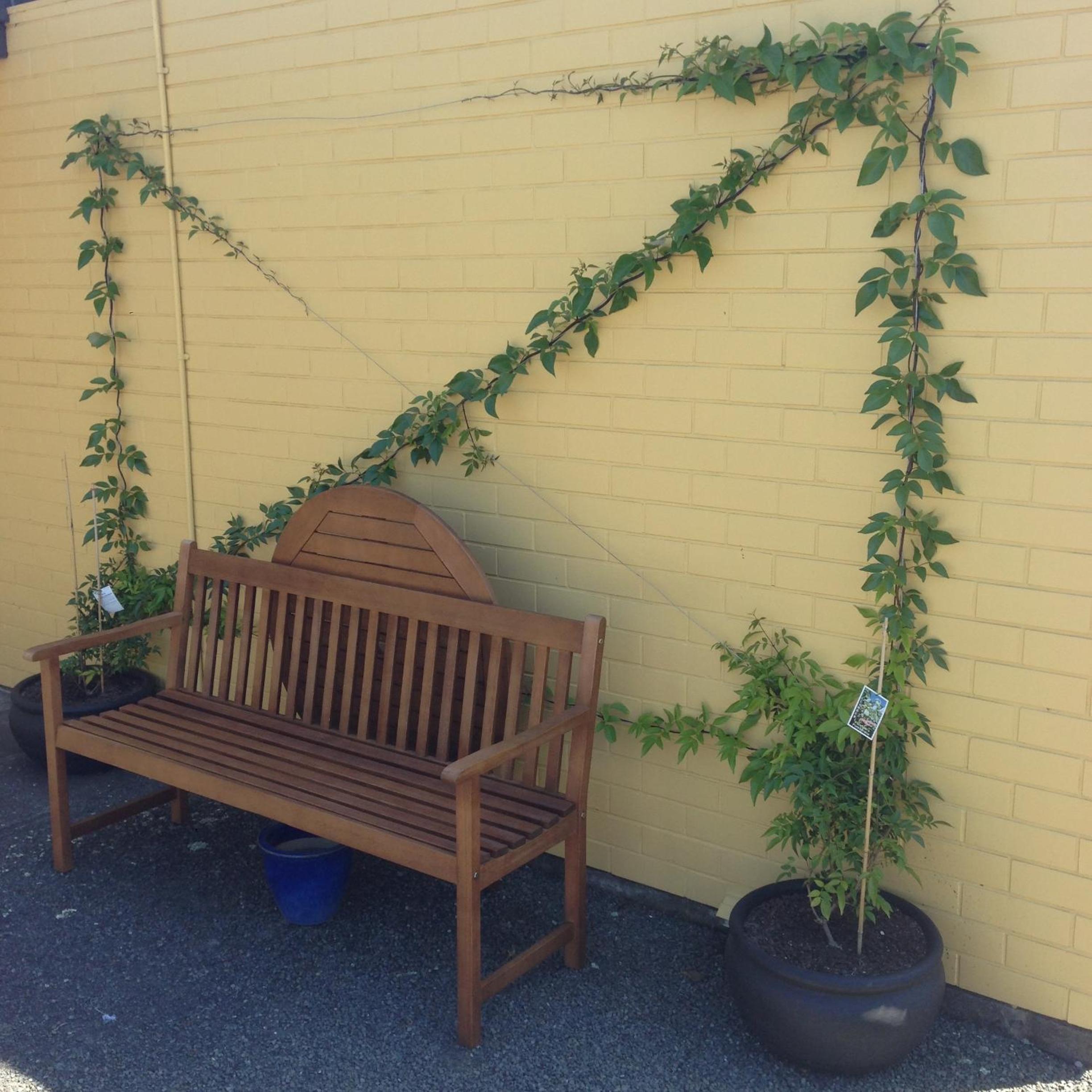 Mount View Motel Hawera